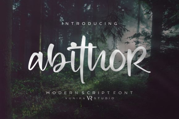 Abithor: A Stylish Script Font for Business