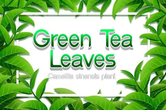 Green Tea Leaves Font for Business Branding