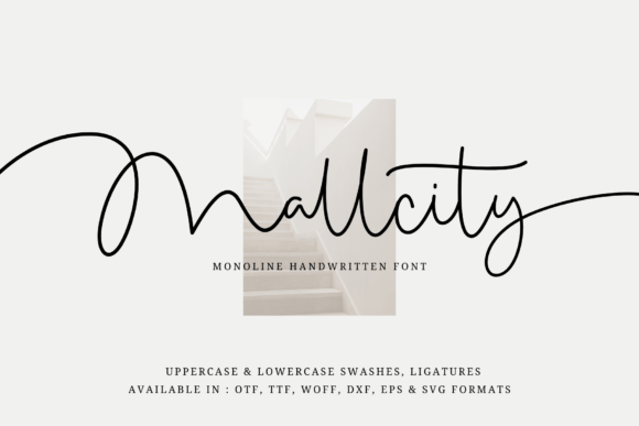 Mallcity: A Premium Script Font