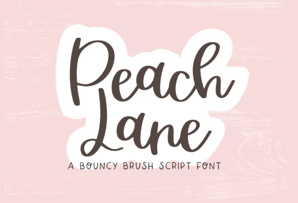 Peach Lane Font for Business Branding