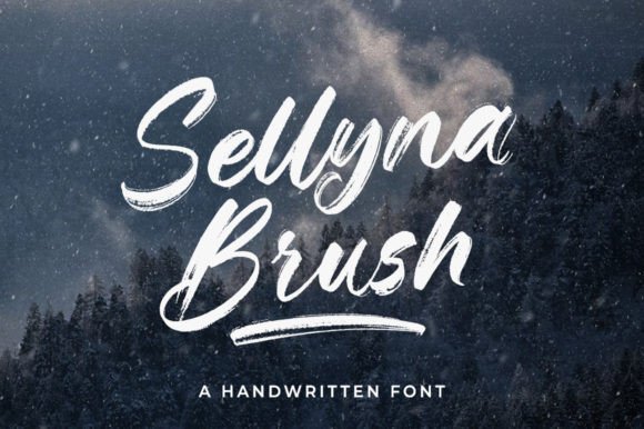 Sellyna Brush Font for Creative Campaigns