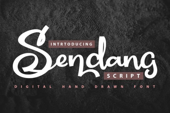Sendang: A Script Font for Elegant Branding