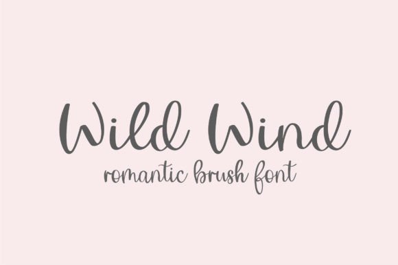 Wild Wind Font: A Romantic Script for Designers